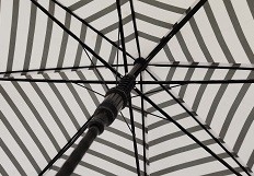 23 Inches 8 Fiberglass Ribs Auto Open Stick Umbrella With J Shape Rubber Coated Plastic Handle