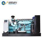 CNG LNG natural gas generator 250kva