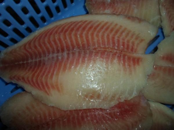 Quality Thailand Origin Fresh Frozen Seafood / Bulk Frozen Fish Tilapia Fillet for sale