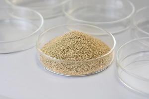China High Reusability Immobilized Lipase Granule 4,000U/G wholesale