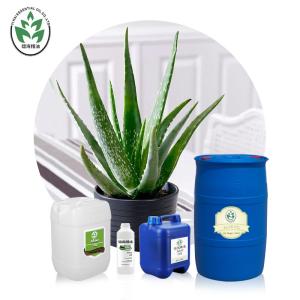 China Cold Pressed Organic Aloe Vera Essential Oil For Face Skin Body And Burns wholesale