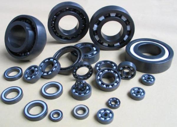 Si3N4 Full Ceramic Bearings , Cage Was Made By PTFE , GFRPA66-25 , PEEK , PI ,