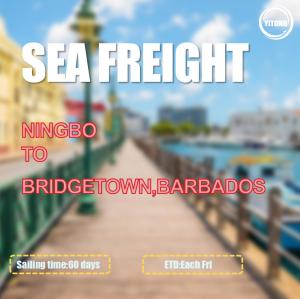 Ningbo To Bridgetown Barbados Sea Freight Forwarding Services Via Kingston