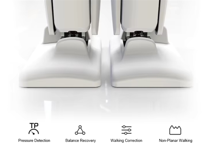 Foxtechrobot XTRON ROBAN Bionic Humanoid Intelligent STEM Programmable Secondary