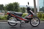 4 Stroke CUB Motorcycle Single Cylinder 110cc Off Road Gas Scooters Motorbikes