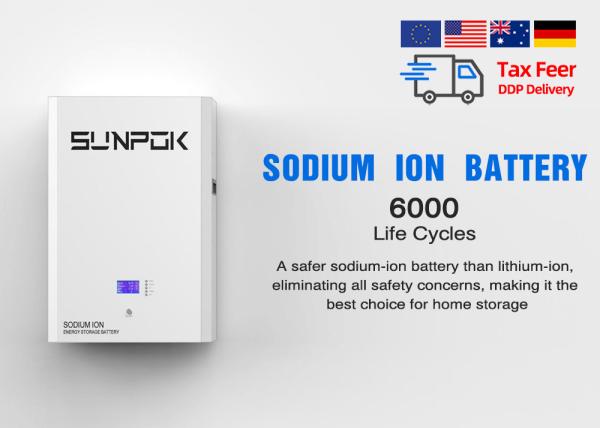 IP21 100A High Safety Sodium Ion Battery With -20°C To 60°C Life Span Of 20