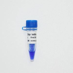 China 10bp DNA Ladder Gel Electrophoresis High Purity Reagents wholesale