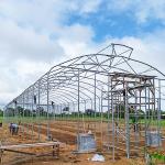 Large Diameter Frame Heavy Duty Greenhouse With Anti Wind Design Easy Installati
