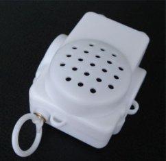 China Customized voice Recordable Music Box for gifts passed RoHS, CE certificate wholesale
