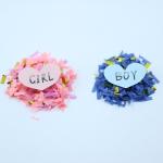 Gender Reveal Party Pink Blue Color Blower Holi Powder Confetti Cannon