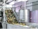 Mango Canned Fruit Jam Production Line With Secondary Steam Condensation