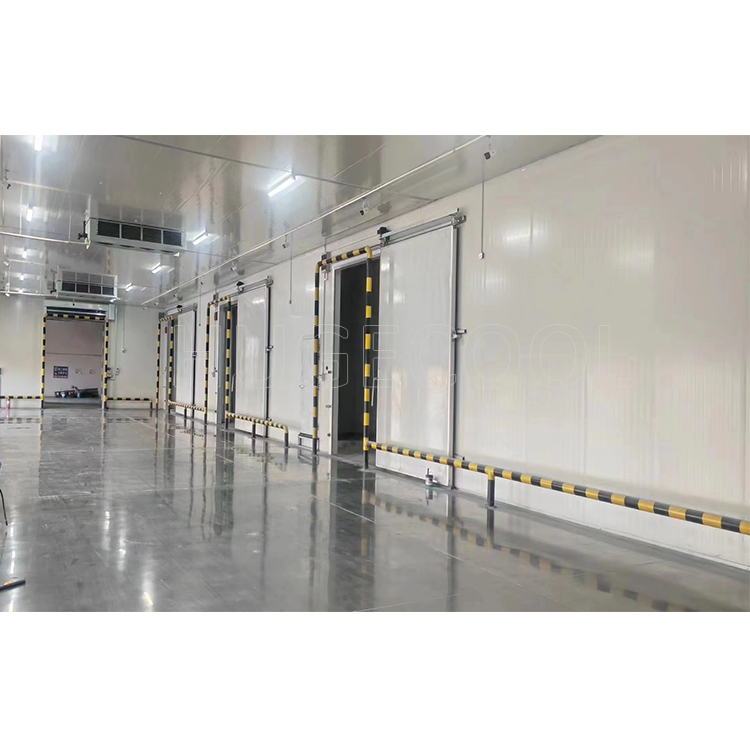 Cold Room For Fruits And Vegetable Fish Meat Seafood Storage Keep Cool Room