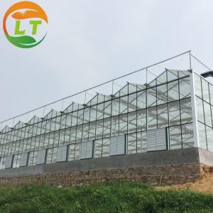 China Flower Vegetable Growing High Venlo Tempered Glass Greenhouse with Hydroponic System on sale