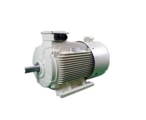 China YVFE3 132S1-2 Variable Frequency Motor 5.5KW High Voltage Electric Motor wholesale