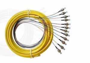 China FC/UPC SM 12Core Pigtail wholesale