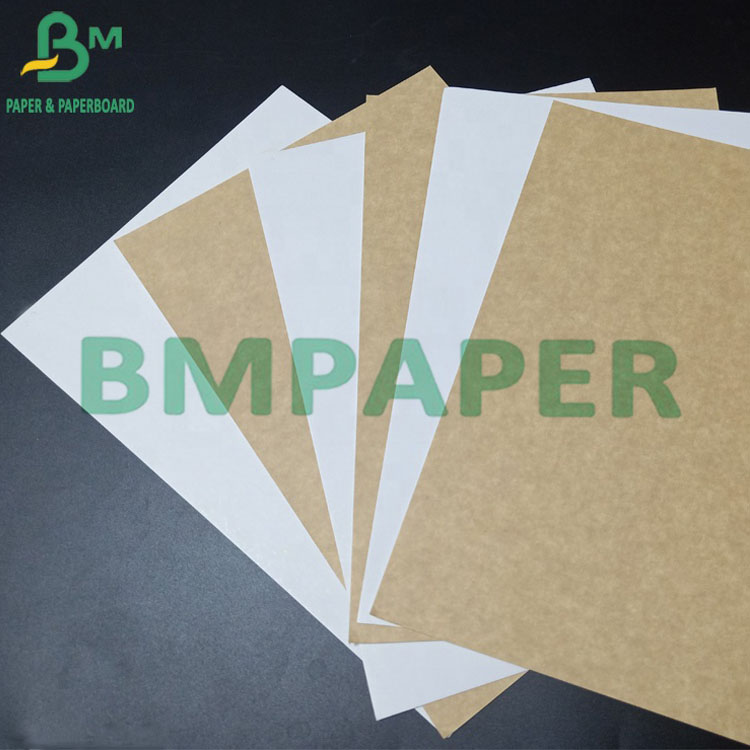 Non - Toxic One Side Coated White Kraft Paper with Brown Back Fast-Food Packing