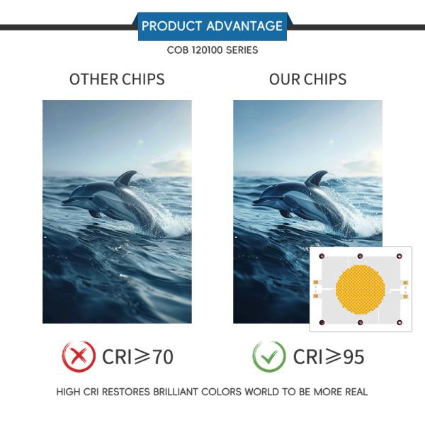 Flip Chip COB LED Module 1200w +1200w Full Spectrum High Power LED Chip for Photography light