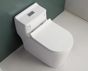 China S Trap One Piece Chair Height Toilet Dual Flush Mix Pit Spacing 220mm wholesale