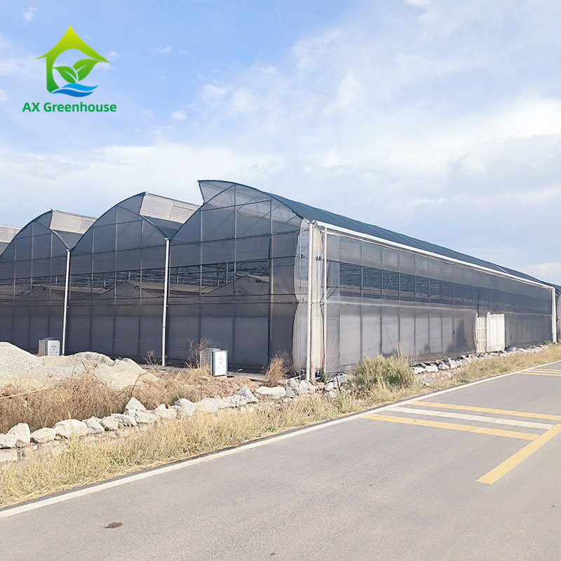 Poly Tunnel Greenhouse for Vegetables Stable Structure Easily Assembled