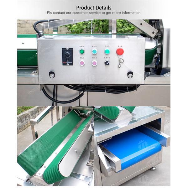 350KG 2.2KW Horizontal high efficiency stainless steel wax gourd peeling machine large output wax gourd peeling machine