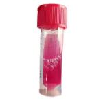 Disposable Virus Sampling Tube