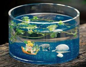 China hand blow glass terrarium glass fish tank Hydroponics container wholesale