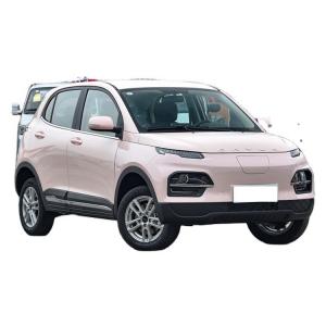 China Electric SUV Dayun Yuehu Left and Right Rudder Electric Vehicle for Energy Vehicles on sale