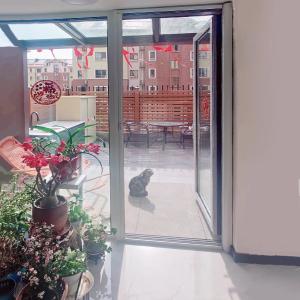 China Smart Home Black Retractable Screen Door Systems Insect Screens wholesale