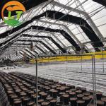 Ventilation Sides Ventilation Blackout Film for Mushroom Greenhouse Manufactured