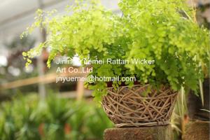 China 2016 new style wicker garden baskets round shape willow garden plants basket wholesale