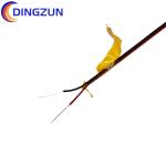 Dingzun Thermocouple Kapton Insulation Polyimide Jacket Type K Wire