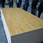 1220*2440mm Melamine Faced Plywood
