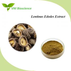 China Food Natural Mushroom Powder / Organic Shiitake Extract Kosher Certified wholesale