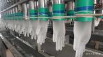 Latex Free Disposable Vinyl Exam Gloves Non Sterile Medical Grade Embossed