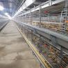 Buy cheap 60-144 Broiler Poultry Equipment , ISO9001 Wire Bird Breeding Cages from wholesalers