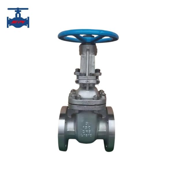 Standard Rising Stem Gate Valve Stainless Steel Wedged Gate Valve ANSI ASME API