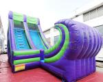 Commercial Inflatable Jumper Castle Water Slide Bounce House