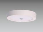 SEC-L-DL144 Ceiling Light Commercial Lighting Fixture With Infrared Sensor