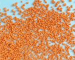 color speckles for detergent washing detergent speckles color speckles sodium