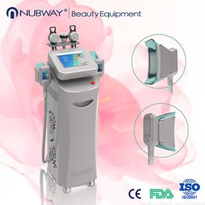 China Cryolipolysis RF Freezing Fat/Cryolipolysis Machine Fat Freeze wholesale
