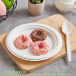 100% Compostable 10 Inch Paper Plates, Heavy Duty Paper Plates, Disposable