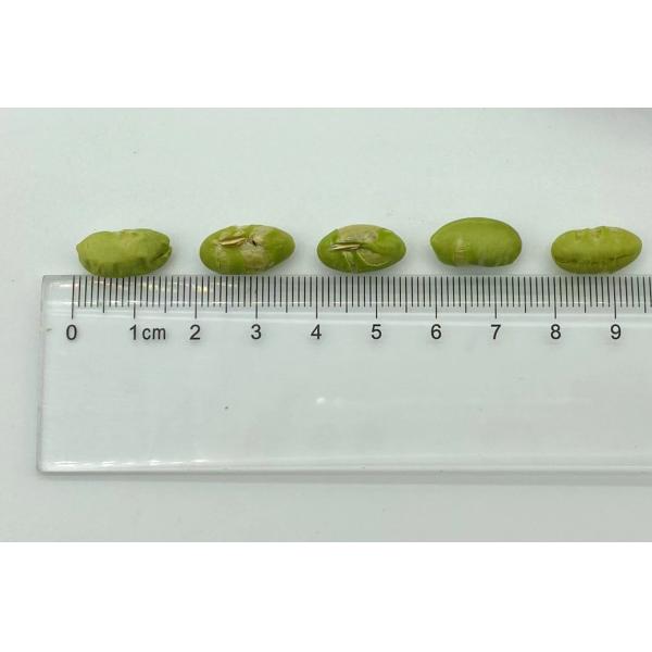 High Protein Roasted Bean Snacks Salty Roasted Edamame Beans