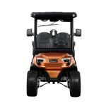 Lifted Electric Golf Cart 2 2 Seater For All Terrain CE Certified For Villa
