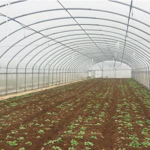 China Optimal Plant Cultivation Tunnel Greenhouse Covered with 150/200micro PO Film wholesale