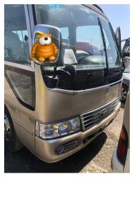 China 23 - 30 Seats Manual Transmission Used Passenger Bus Used School Bus Hotselling Attractive exterior Show wholesale