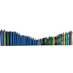 Custom Factory Direct Lowest Price Balloonl Grade 10L Helium Gas Cylinders