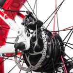 Full Suspension Fat Tire E Bike Folding Electric Mountain 350w 48v RICH BIT 018