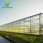 Venlo Winter Glass Tomato Greenhouse