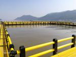 Abalone Leisure Aquaculture Fish Cage Circular Square For Floating Fish Farming