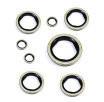 OEM Seal M12 Carbon Steel Nitrile Rubber Gasket Bonded Sealing Washers